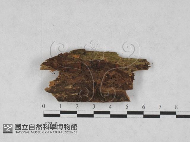 登錄號:F0028250藏品圖，第1張
