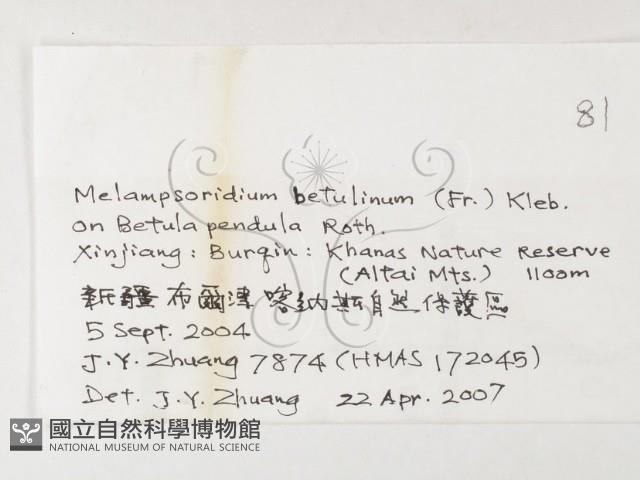 登錄號:F0026250藏品圖，第3張