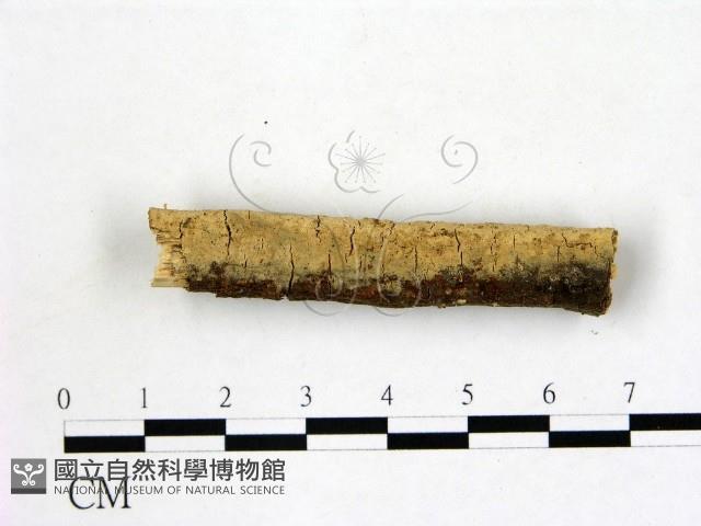 登錄號:F0022250藏品圖，第1張