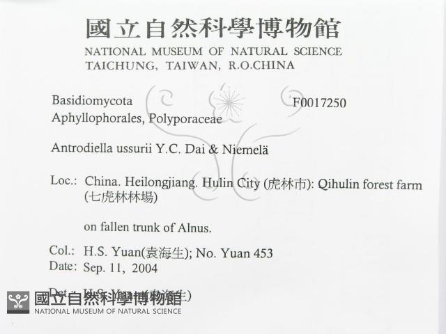 登錄號:F0017250藏品圖，第3張