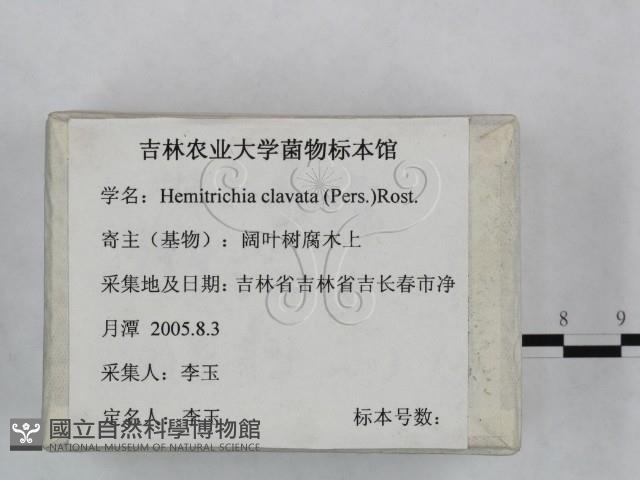 登錄號:F0023250藏品圖，第1張