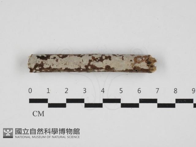 登錄號:F0032950藏品圖，第1張