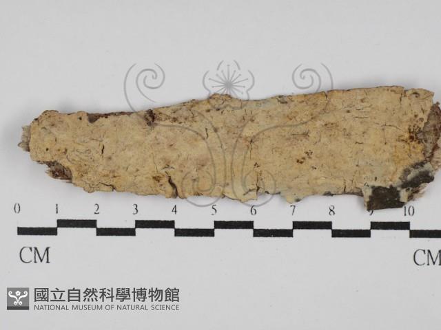 登錄號:F0029950藏品圖，第1張