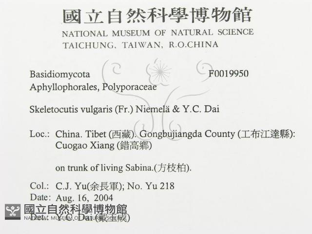 登錄號:F0019950藏品圖，第3張
