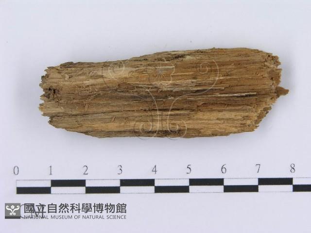 登錄號:F0003950藏品圖，第1張