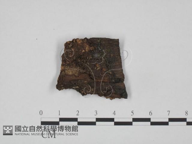 登錄號:F0018650藏品圖，第1張