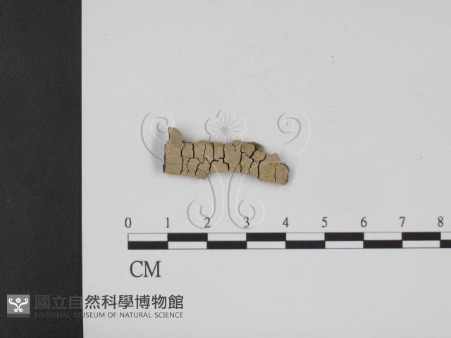 登錄號:F0012650藏品圖，第1張