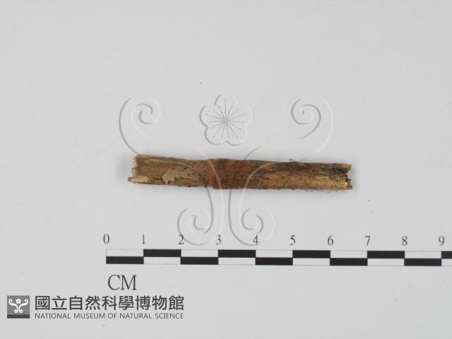 登錄號:F0019650藏品圖，第1張