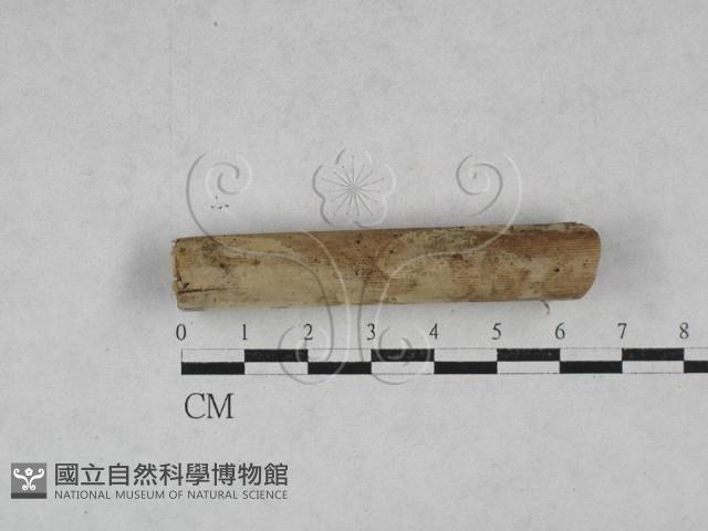登錄號:F0028450藏品圖，第1張