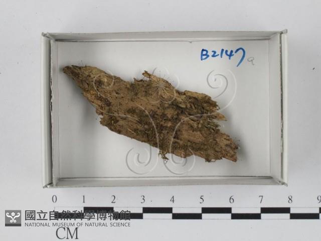 登錄號:F0018450藏品圖，第1張