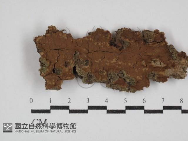 登錄號:F0030450藏品圖，第1張