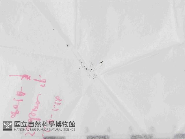 登錄號:F0021450藏品圖，第1張