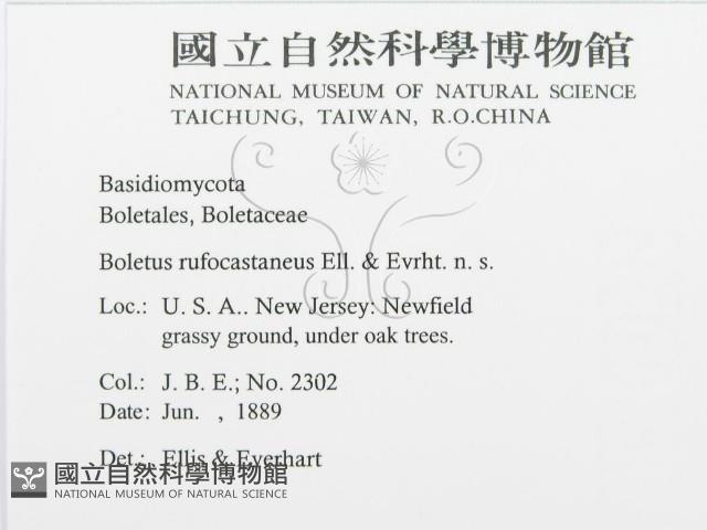 登錄號:F0011450藏品圖，第3張