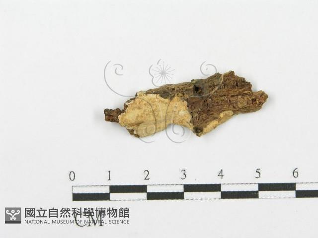 登錄號:F0002450藏品圖，第1張