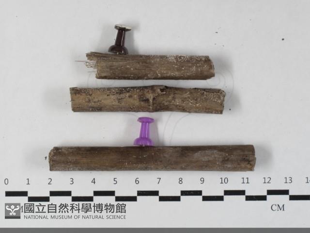 登錄號:F0033450藏品圖，第1張