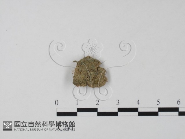 登錄號:F0000750藏品圖，第1張