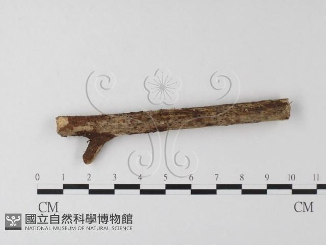 登錄號:F0021750藏品圖，第1張