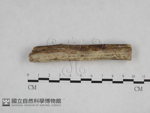 登錄號:F0024750藏品圖，第1張