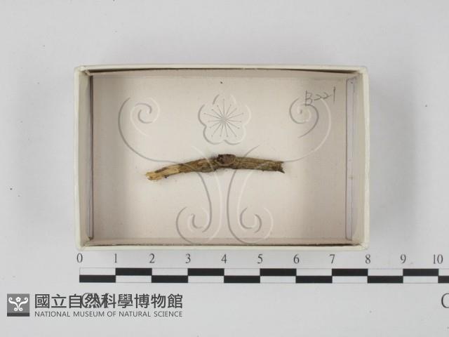 登錄號:F0018550藏品圖，第1張