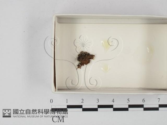 登錄號:F0020550藏品圖，第1張