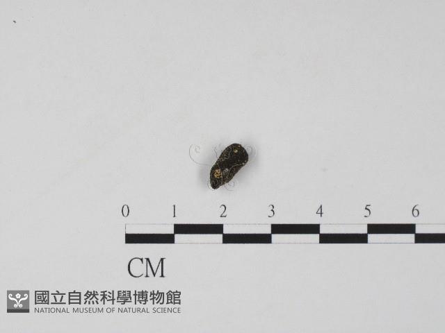 登錄號:F0004550藏品圖，第1張