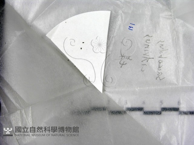 登錄號:F0022550藏品圖，第1張
