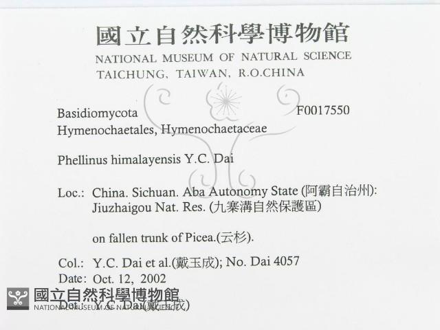 登錄號:F0017550藏品圖，第3張