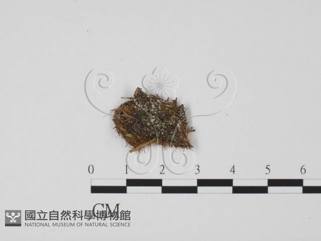 登錄號:F0000150藏品圖，第1張