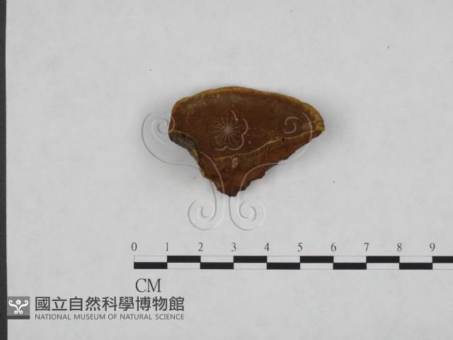 登錄號:F0006150藏品圖，第1張