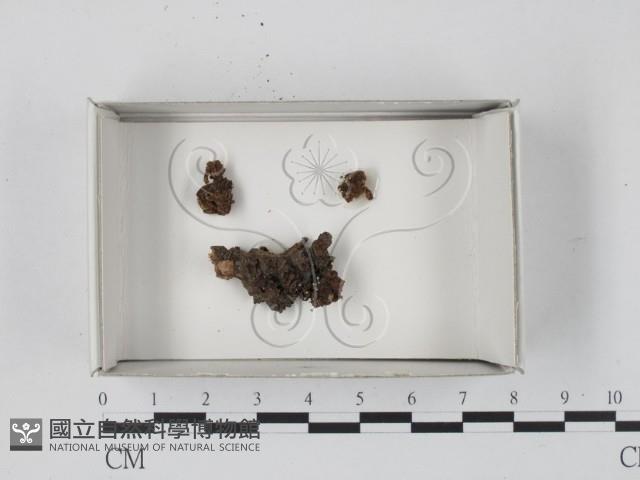 登錄號:F0021150藏品圖，第1張