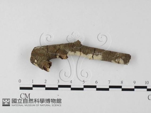 登錄號:F0004150藏品圖，第1張