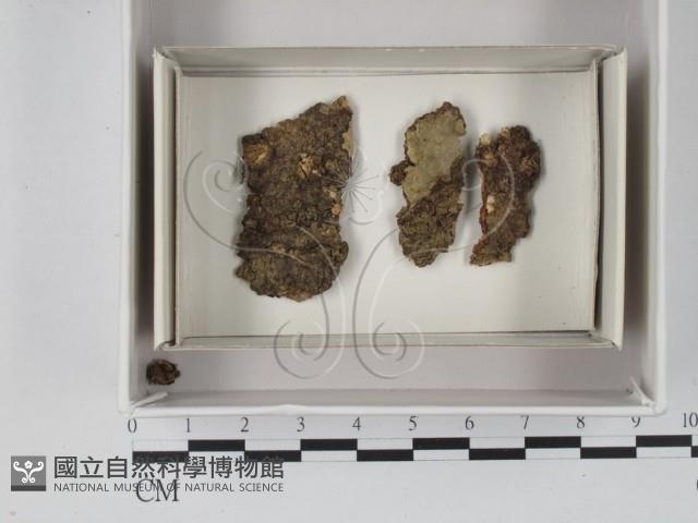 登錄號:F0018050藏品圖，第1張