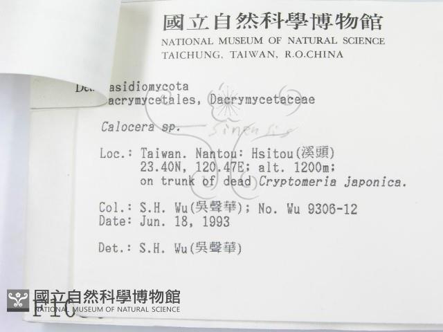 館號:F0001050藏品圖，第3張