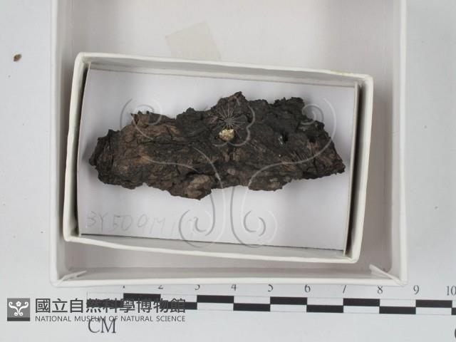 登錄號:F0018350藏品圖，第1張