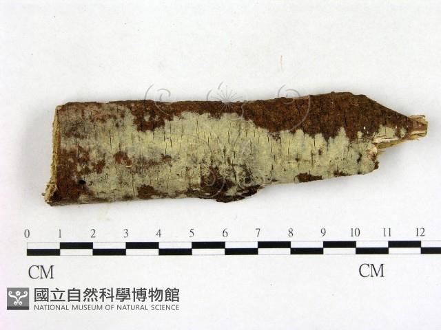 登錄號:F0022350藏品圖，第1張