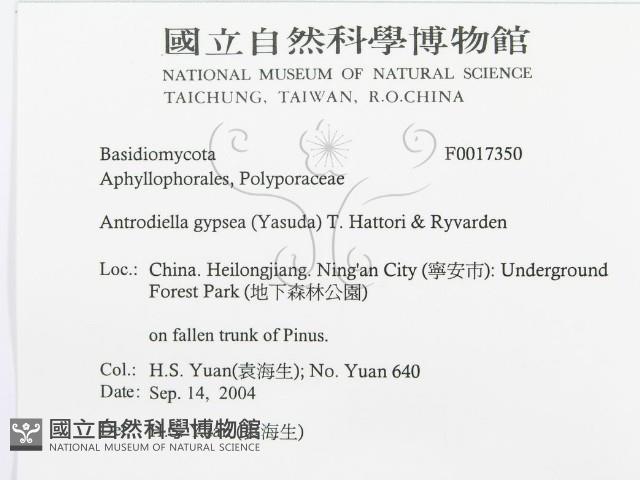 登錄號:F0017350藏品圖，第3張