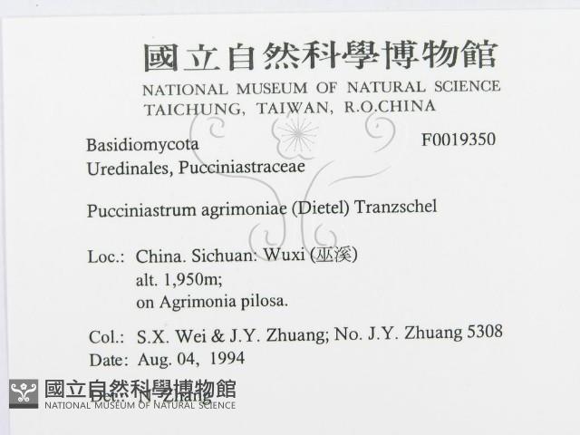 登錄號:F0019350藏品圖，第3張
