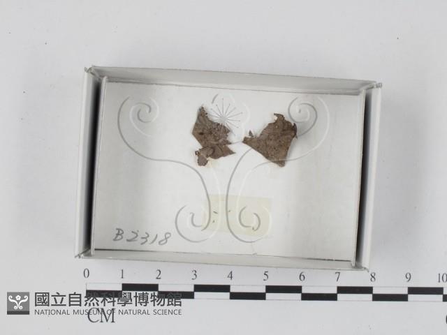 登錄號:F0018240藏品圖，第1張