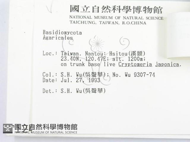 登錄號:F0001240藏品圖，第3張