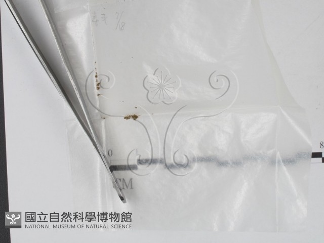 登錄號:F0002240藏品圖，第1張