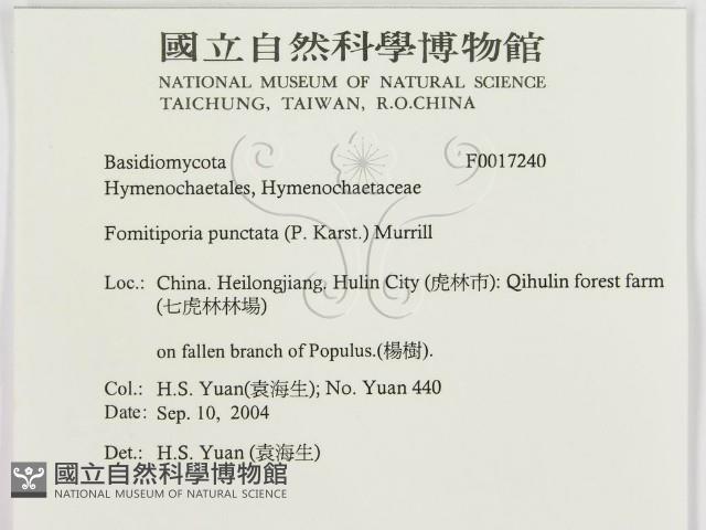 登錄號:F0017240藏品圖，第3張