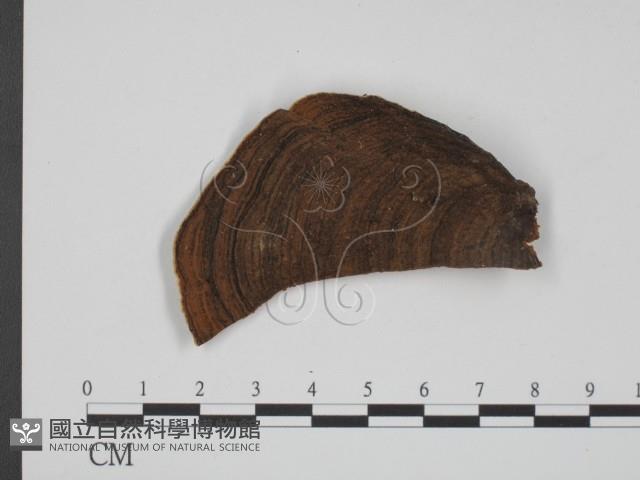 登錄號:F0018840藏品圖，第1張