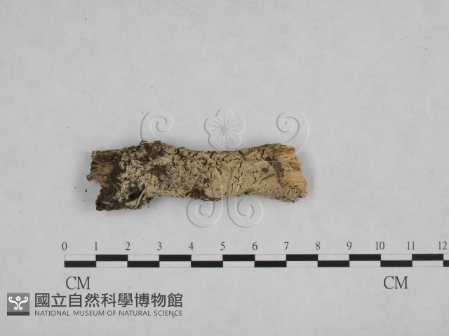 登錄號:F0024840藏品圖，第1張