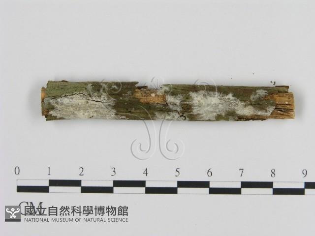 登錄號:F0007840藏品圖，第1張