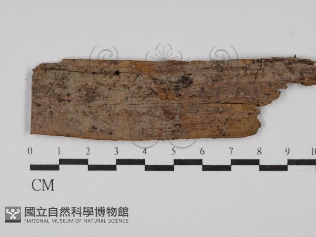 登錄號:F0029840藏品圖，第1張