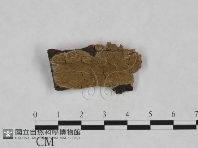 登錄號:F0023840藏品圖，第1張