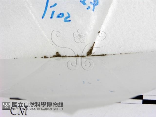 登錄號:F0020940藏品圖，第1張