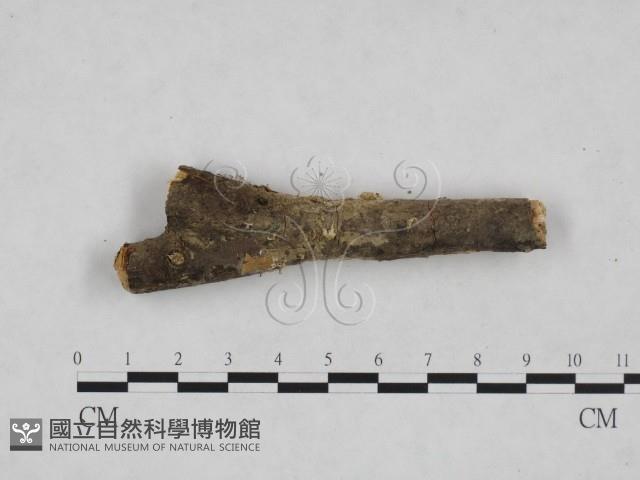 登錄號:F0024940藏品圖，第1張