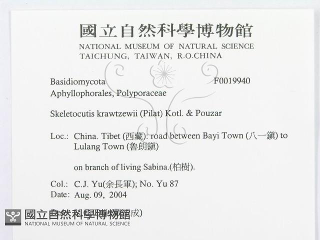 登錄號:F0019940藏品圖，第3張