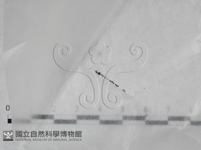 登錄號:F0028640藏品圖，第1張